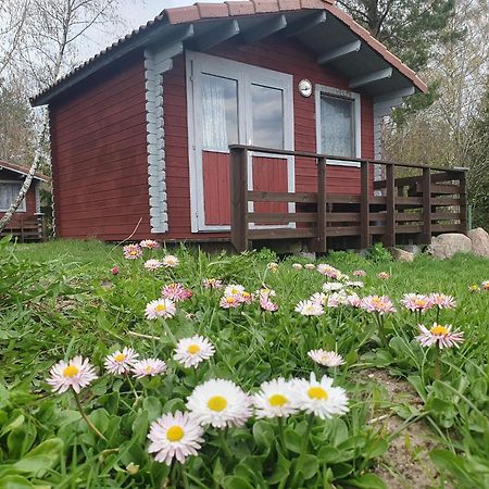 Отель Paeevatalu Camping Vilusi Экстерьер фото