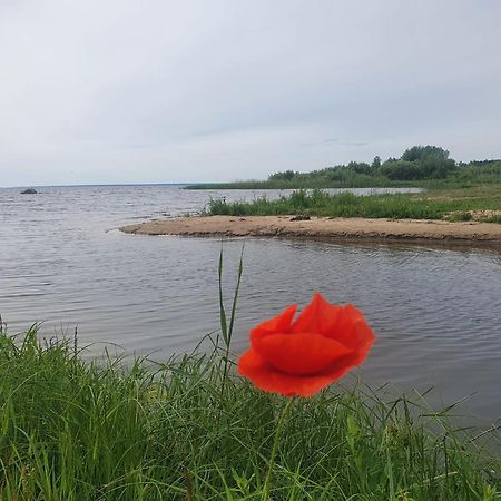 Отель Paeevatalu Camping Vilusi Экстерьер фото