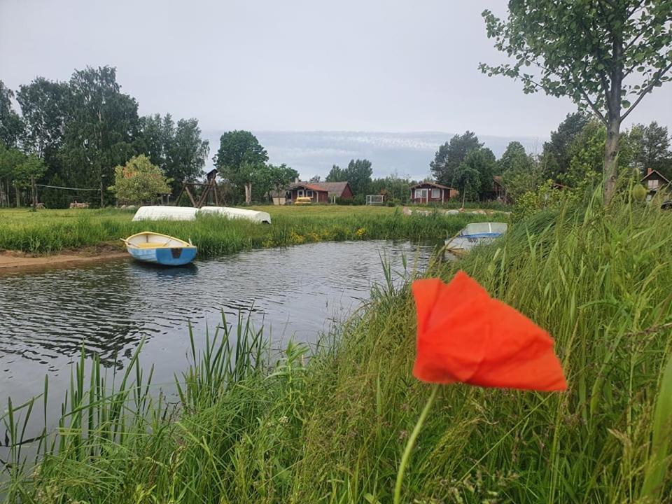Отель Paeevatalu Camping Vilusi Экстерьер фото