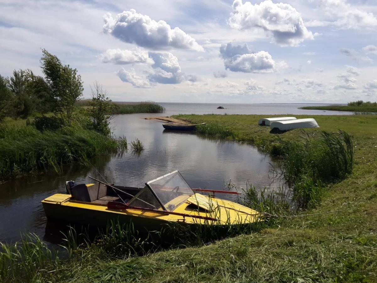 Отель Paeevatalu Camping Vilusi Экстерьер фото
