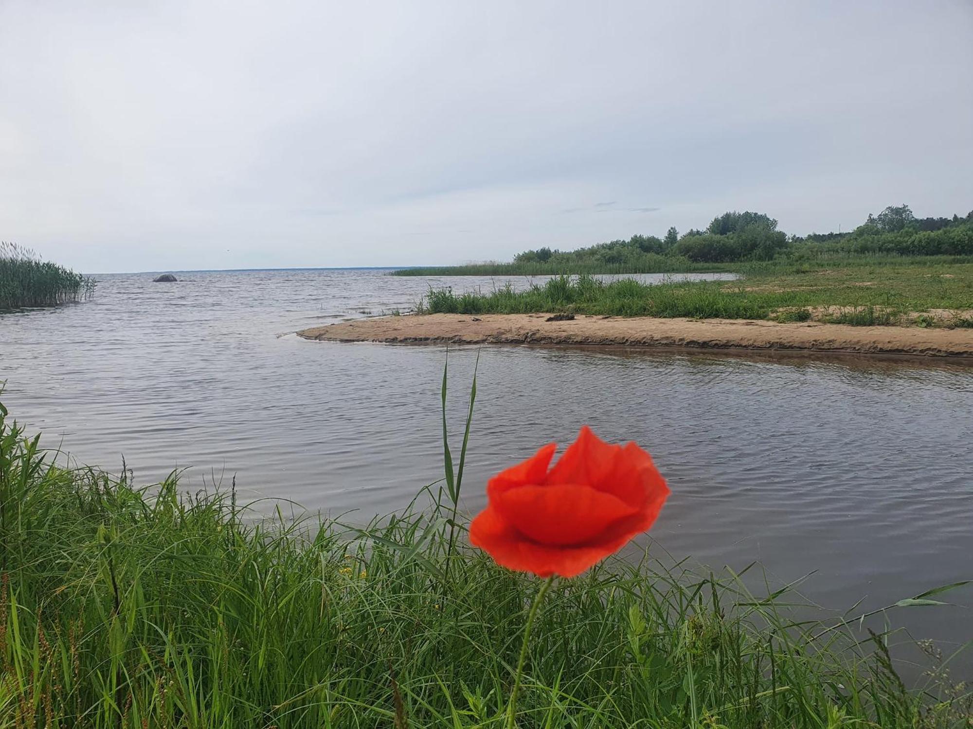 Отель Paeevatalu Camping Vilusi Экстерьер фото