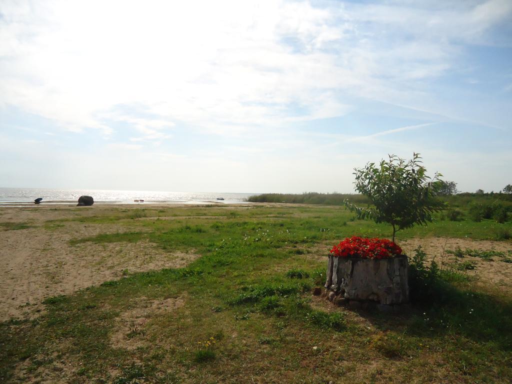 Отель Paeevatalu Camping Vilusi Экстерьер фото